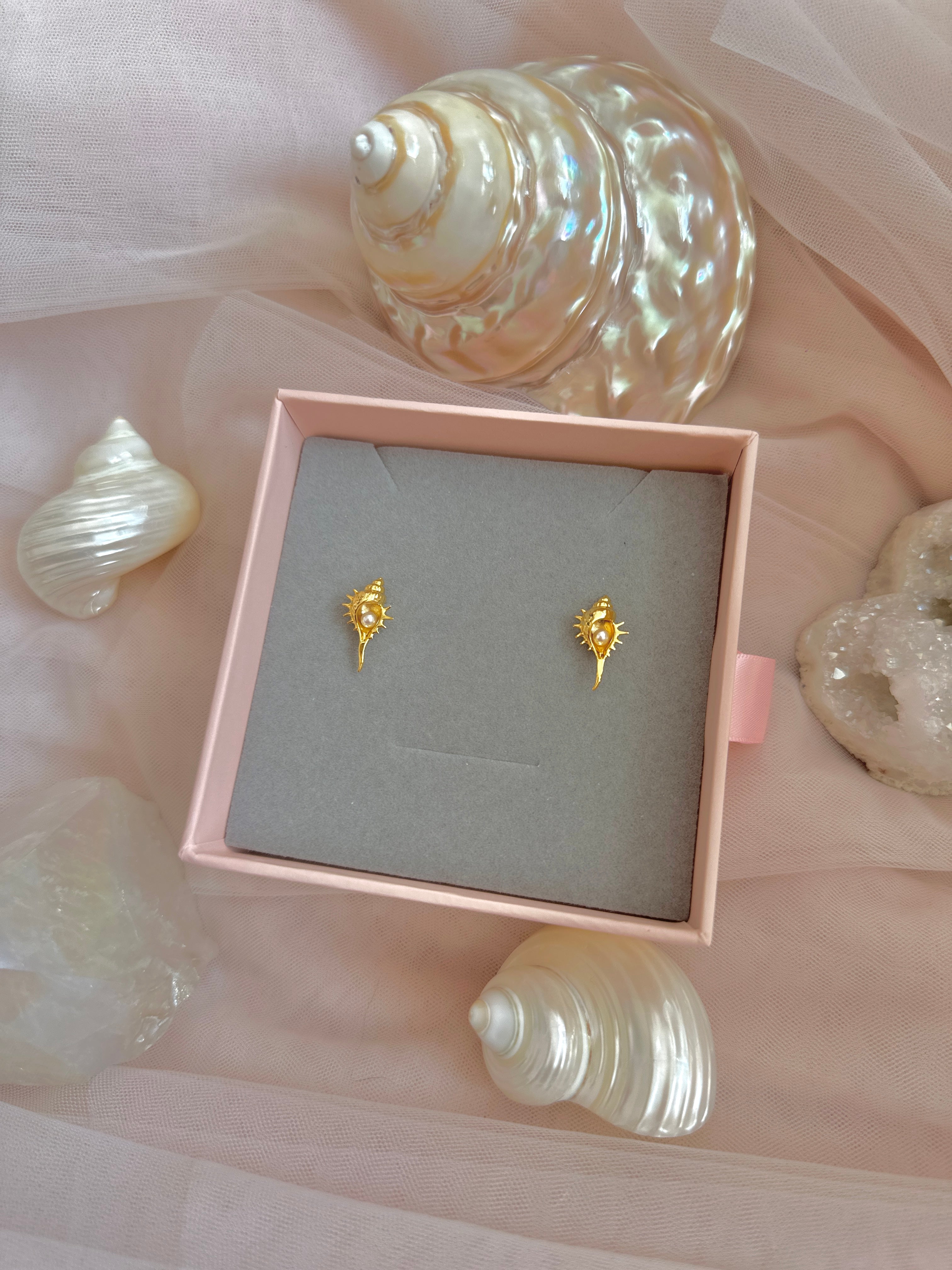 The “Hidden Treasure” Conch Earrings